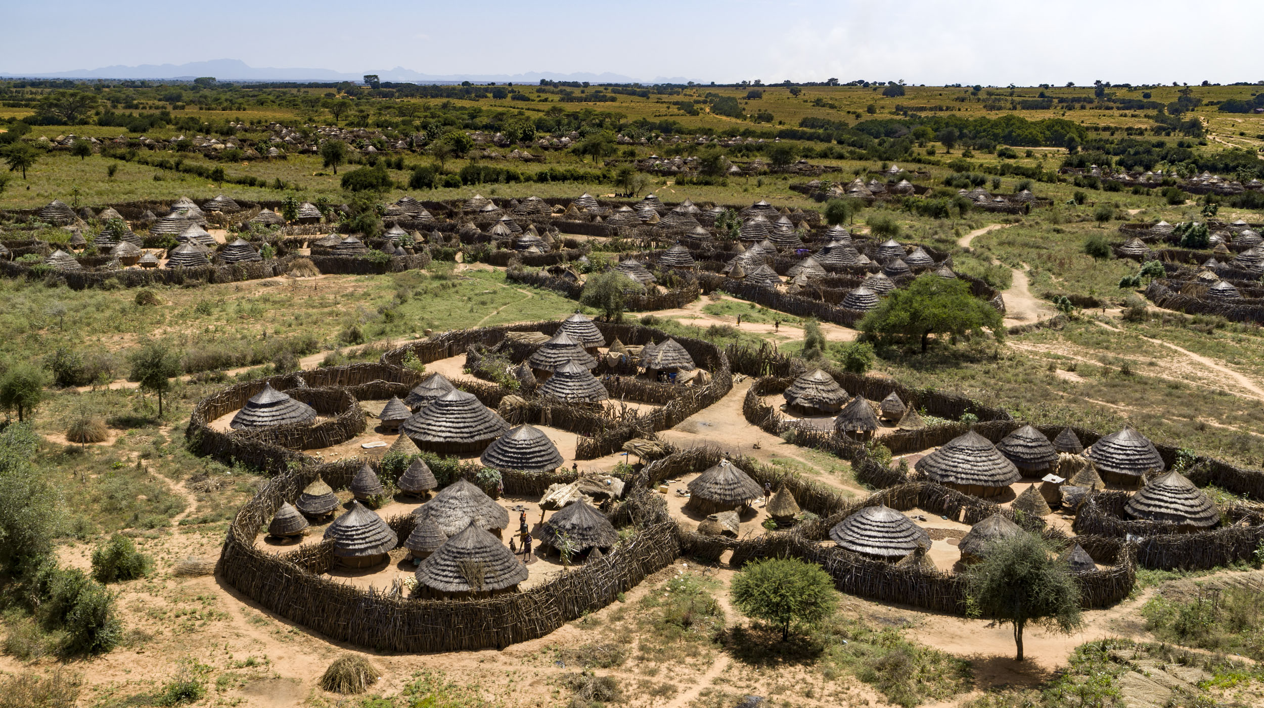 Homesteads in Karamoja (Ngirerya)