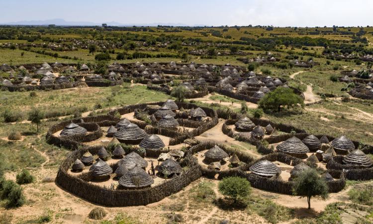 Homesteads in Karamoja (Ngirerya)